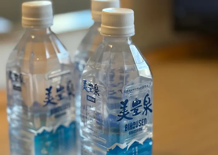 Fukuoka Floral Inn Nishinakasu